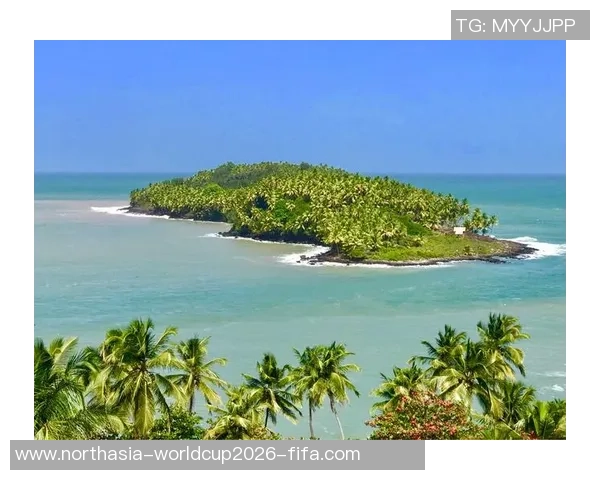 法圭亚那足球排名分析及其在国际足联中的地位探讨